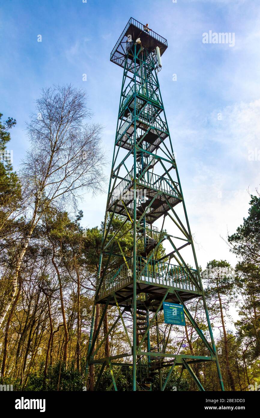 Tour d'observation dans le parc national de Kalmthout, Belgique Banque D'Images