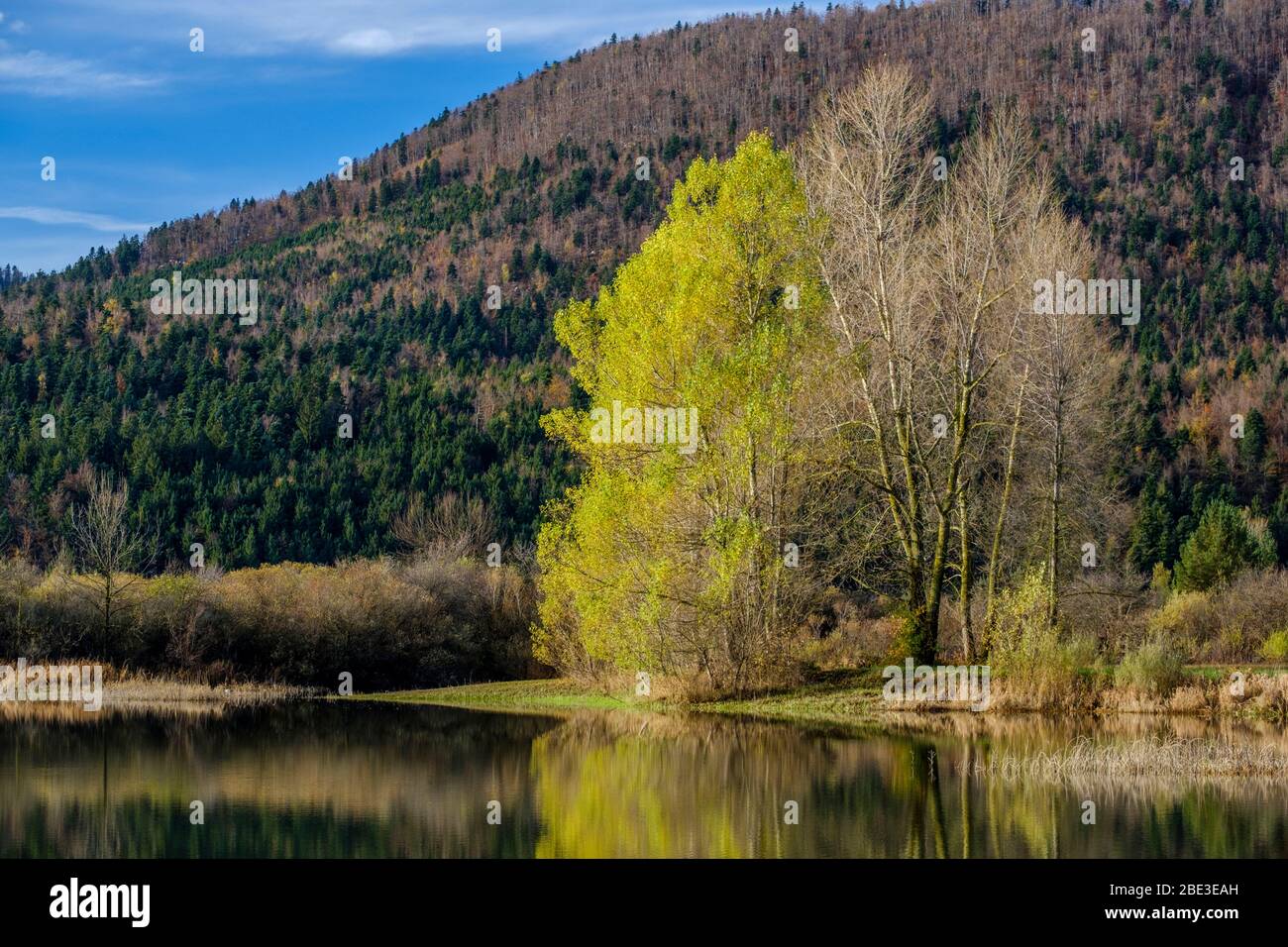 Lac Cerknica, Slovénie Banque D'Images