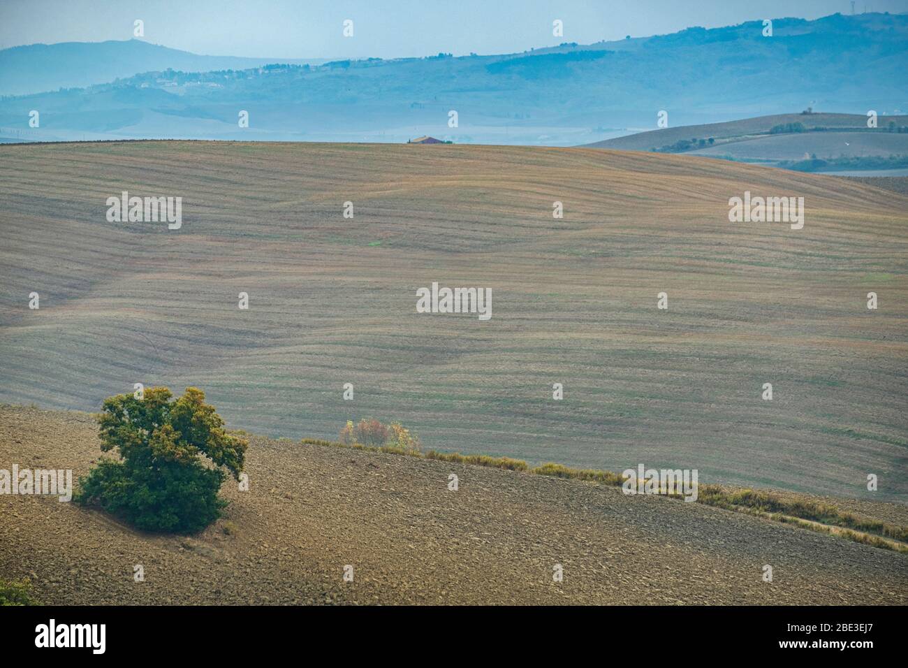 Val d'Orcia, Toscane, Italie Banque D'Images