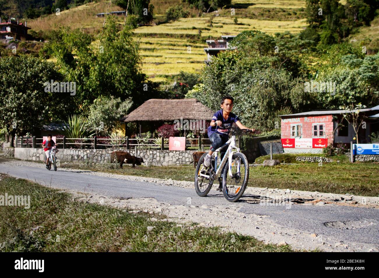 Népal, Pokhara, Lac, chemin, rue, Kid, vélo, nature, jeu, campagne, Paysage Banque D'Images