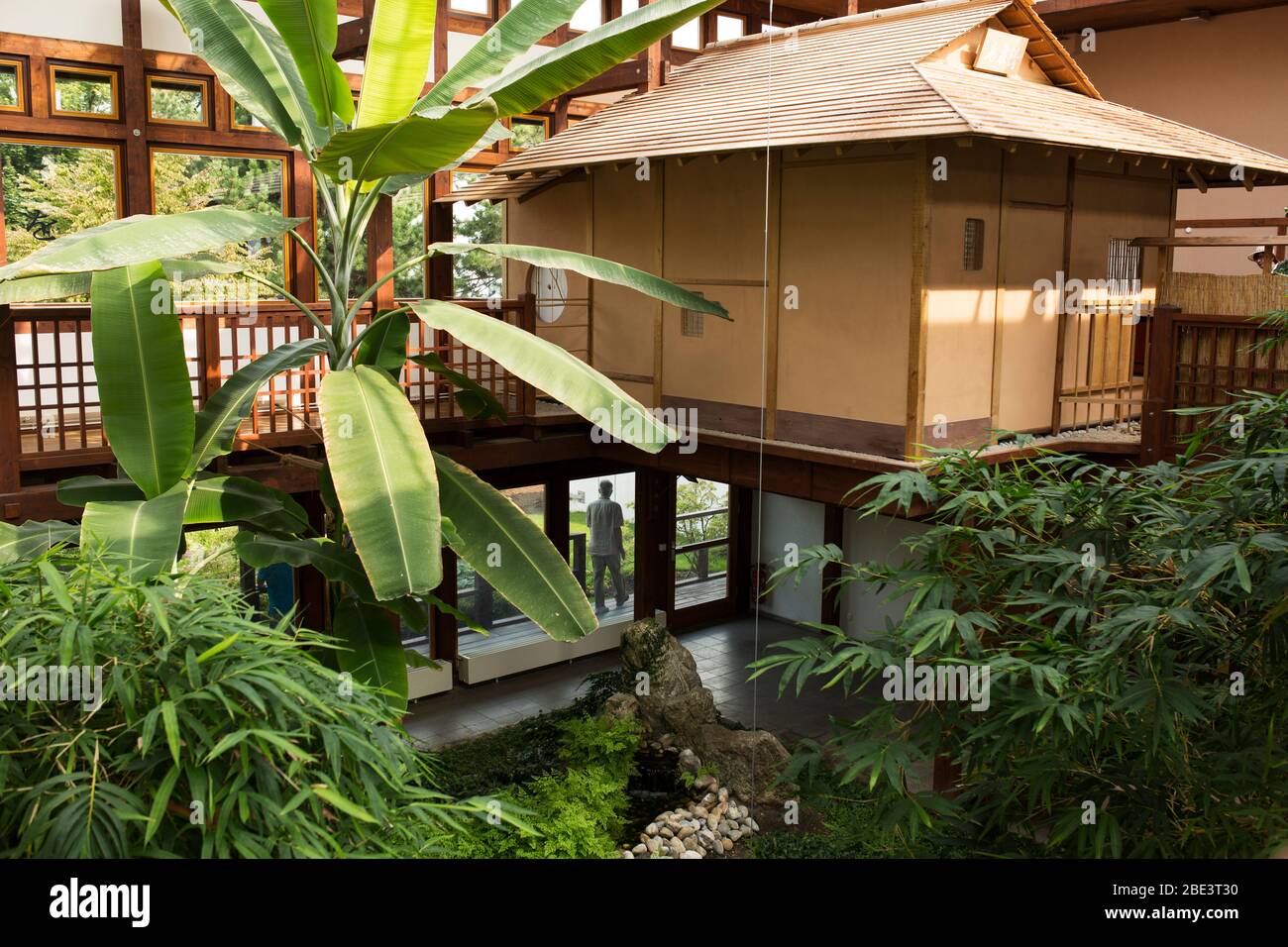 Le salon de thé à l'intérieur du pavillon des plantes du jardin japonais de Bad Langensalza, en Allemagne Banque D'Images