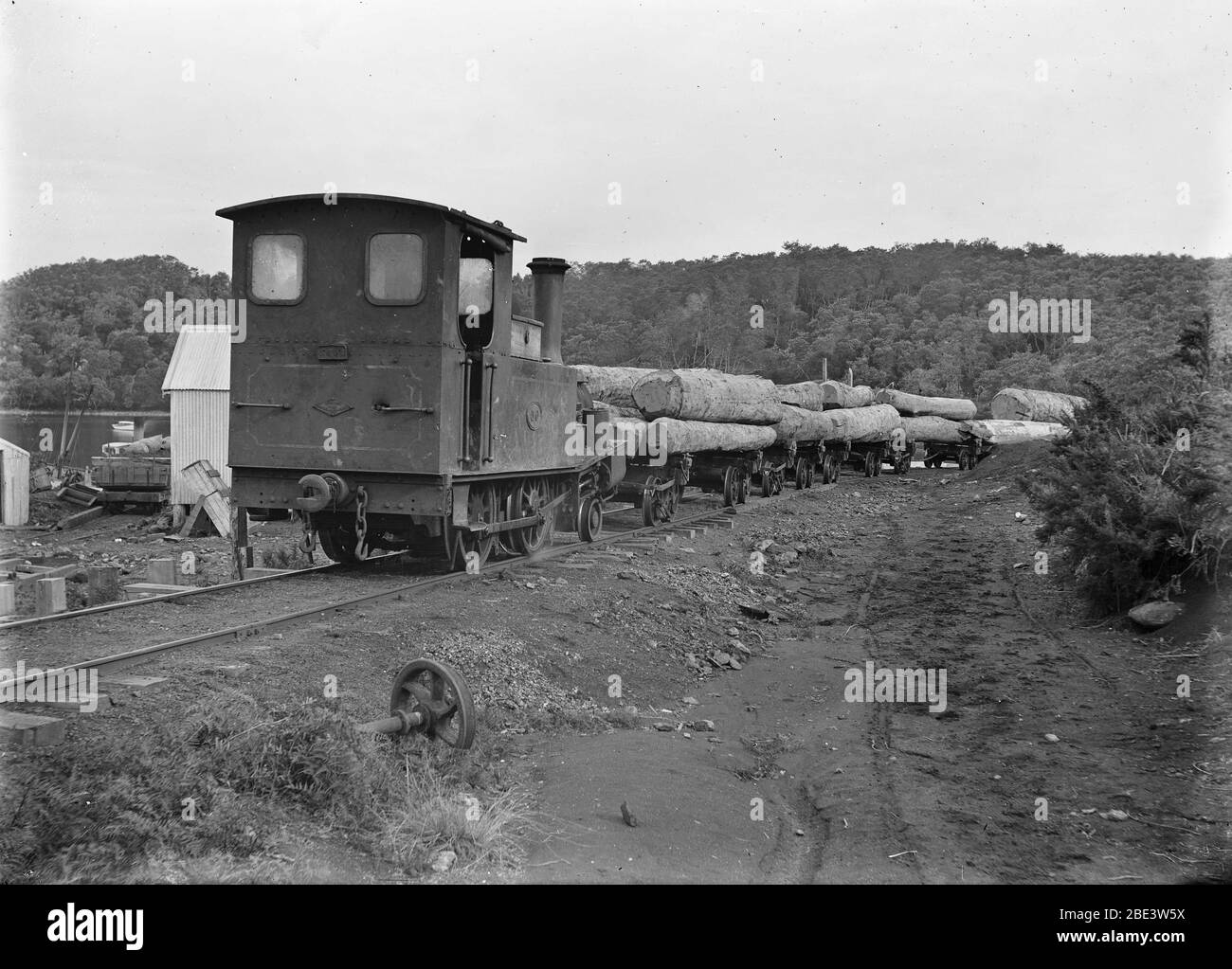 Une locomotive transporte des grumes de kauri à Waipapa, dans l'île du Nord de la Nouvelle-Zélande, pour la Kauir Timber Company, vers 1915, par le photographe Albert Percy Godber Banque D'Images