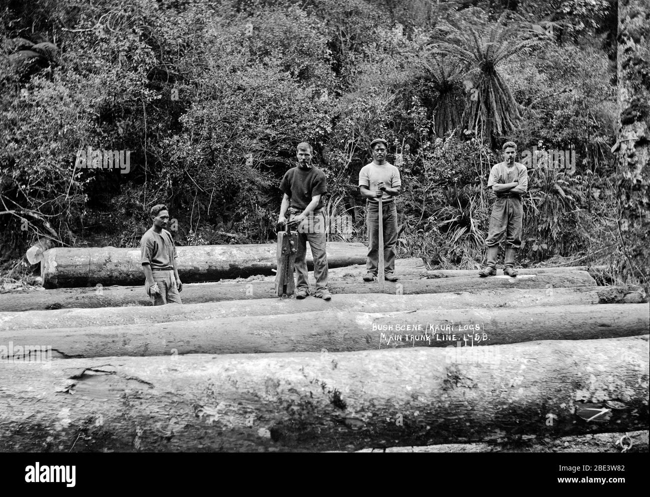 Les hommes se tiennent sur une pile de grumes de kauri tout en dénucléant la ligne de chemin de fer principale du tronc dans l'île du Nord de la Nouvelle-Zélande, vers 1915, par le photographe Albert Percy Godber Banque D'Images