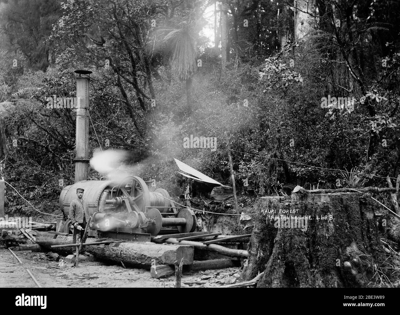 Un homme exploite un transporteur de grumes de vapeur pour défricher la forêt de kauri afin de faire place à la ligne de chemin de fer principale du tronc dans l'île du Nord de la Nouvelle-Zélande, vers 1915, par le photographe Albert Percy Godber Banque D'Images