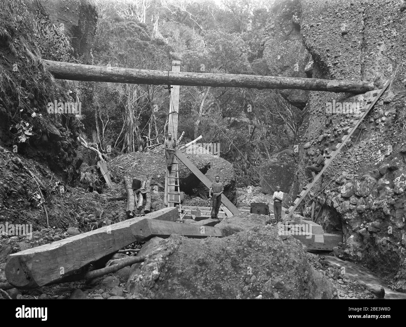 Les hommes construisent un barrage sur le ruisseau Anawhata pour le transport des grumes de Kauri dans l'île du Nord de la Nouvelle-Zélande, vers 1915, par le photographe Albert Percy Godber Banque D'Images