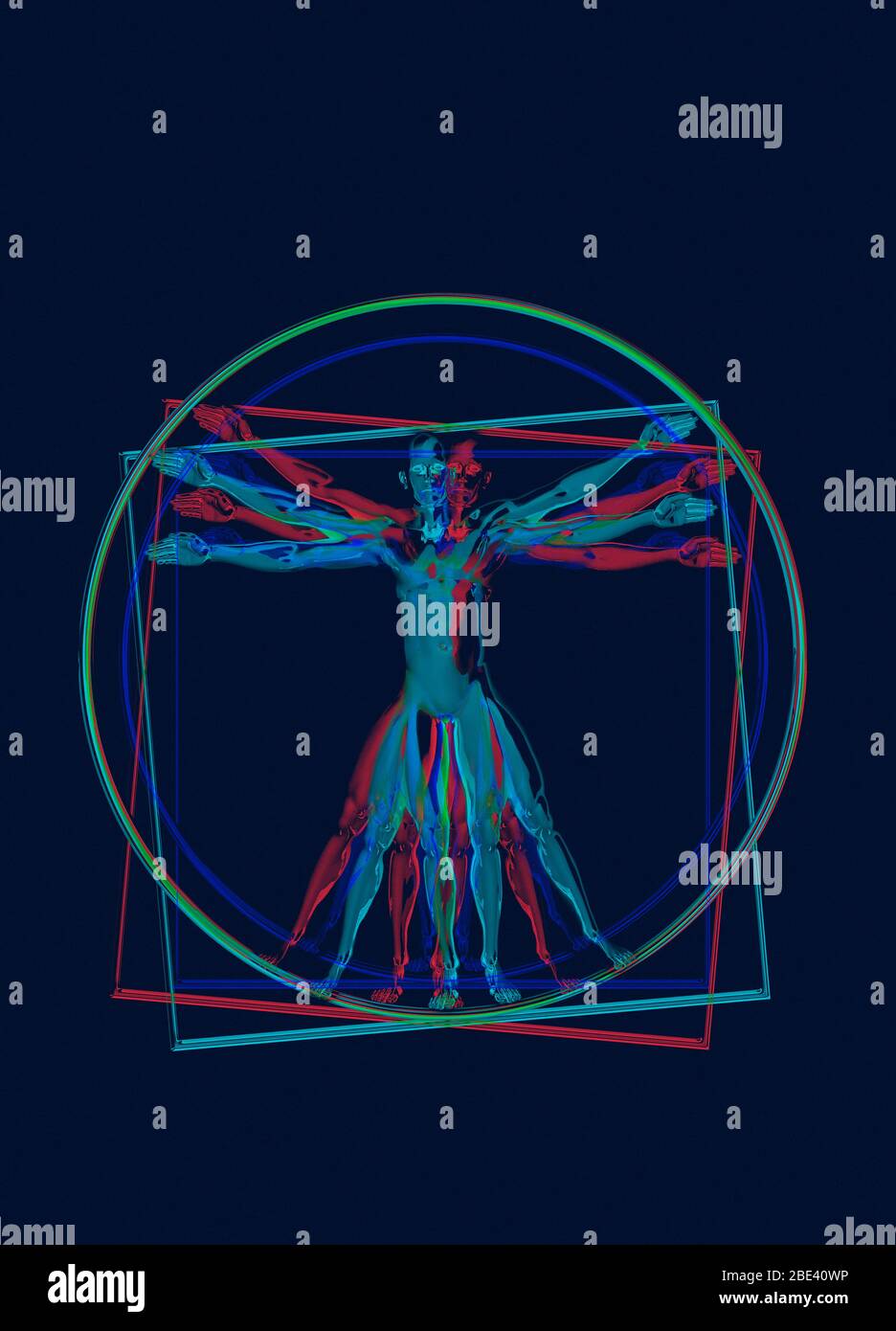 Vitruvian homme, illustration. Banque D'Images