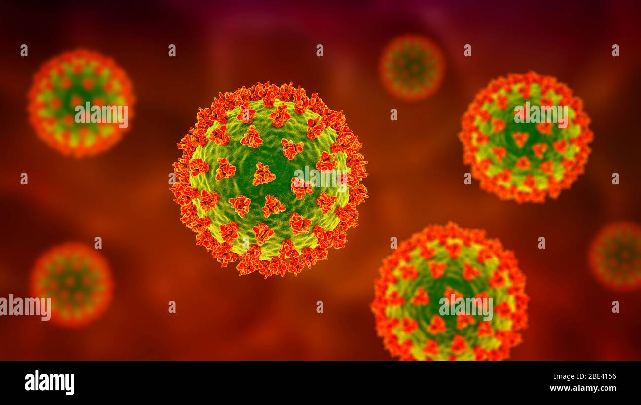 Particules de coronavirus Covid-19, illustration. Le coronavirus du SRAS-COV-2 a été identifié pour la première fois à Wuhan, en Chine, en décembre 2019. C'est un virus de l'ARN enveloppé (acide ribonucléique). Dans la membrane se trouvent des protéines de pointe (grandes protusions) ainsi que des protéines de membrane et des protéines d'enveloppe. Le SRAS-COV-2 cause l'infection respiratoire le Covid-19, ce qui peut entraîner une pneumonie mortelle. En mars 2020, le virus s'est répandu dans de nombreux pays du monde entier et a été déclaré pandémique. Des centaines de milliers de personnes ont été infectées par des dizaines de milliers de décès. Banque D'Images