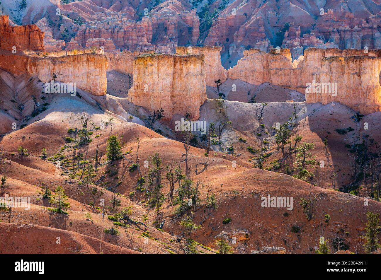 Paysage spectaculaire dans le parc national de Bryce Canyon Banque D'Images