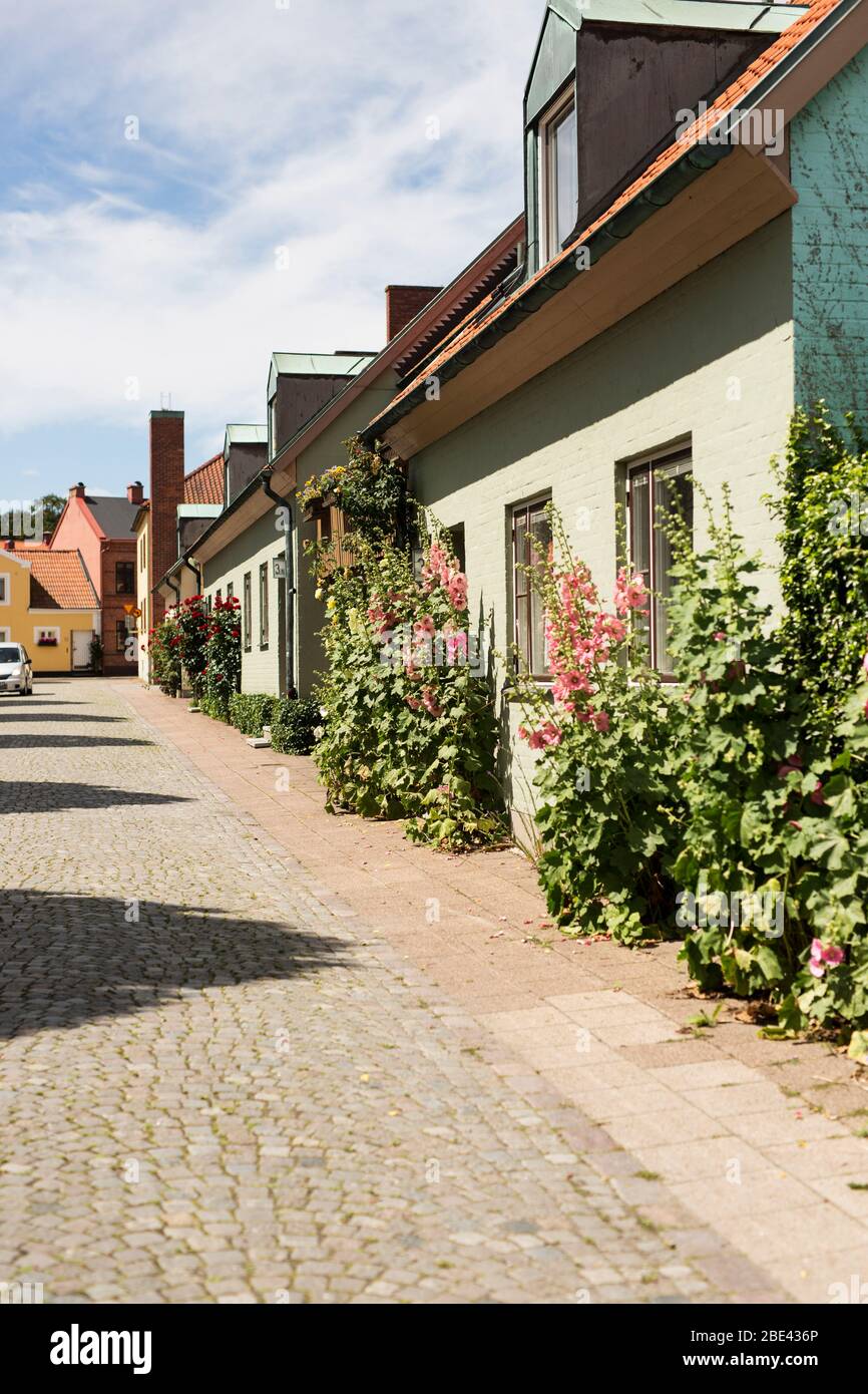 Une charmante rue avec de petites maisons et des hollyhacks qui poussent un jour d'été à Ystad, en Suède. Banque D'Images