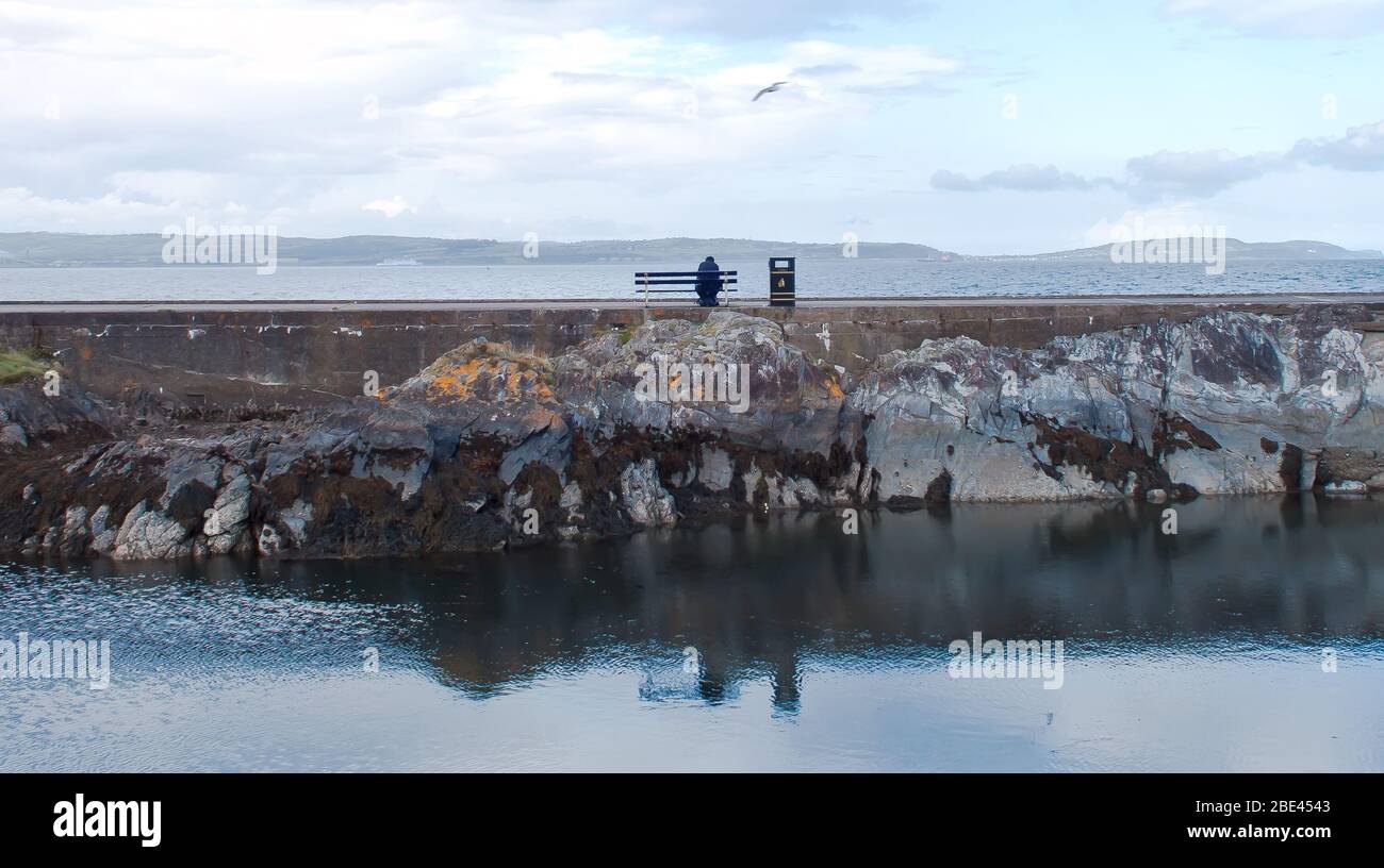Solitaire assis seul sur un banc avec un mouette pour compagnie sur la côte à Bangor, en Irlande du Nord Banque D'Images