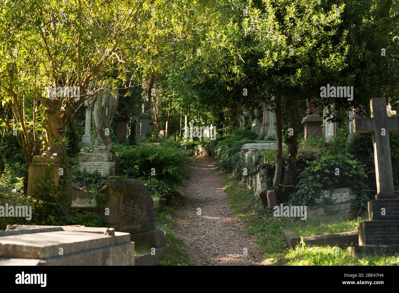 La lumière du soleil filtre à travers les arbres sur un sentier pédestre au cimetière Highgate, Londres, Angleterre, Royaume-Uni. Banque D'Images