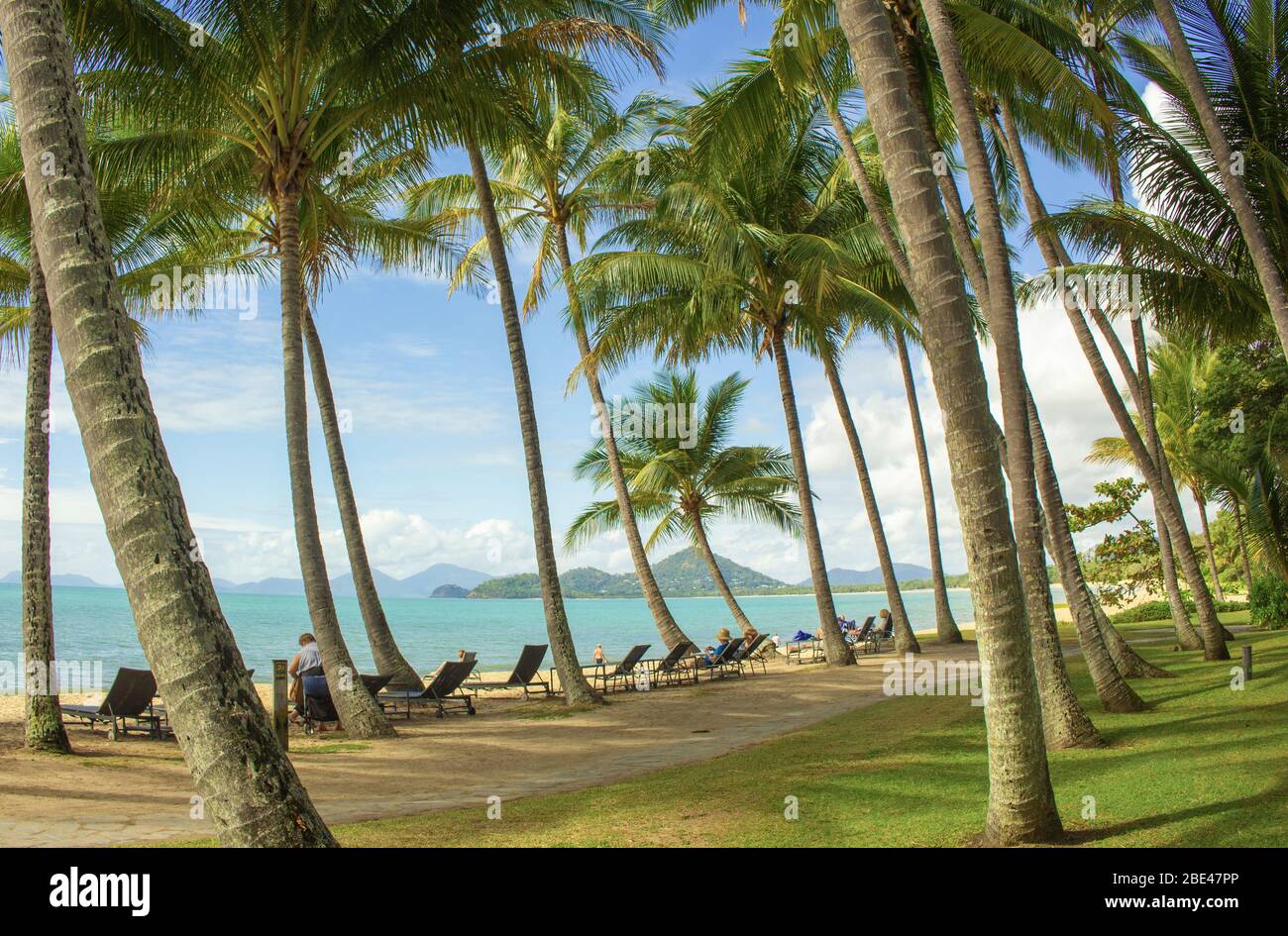 L'impressionniste Palm Cove, aussi idyllique qu'il l'obtient? Banque D'Images