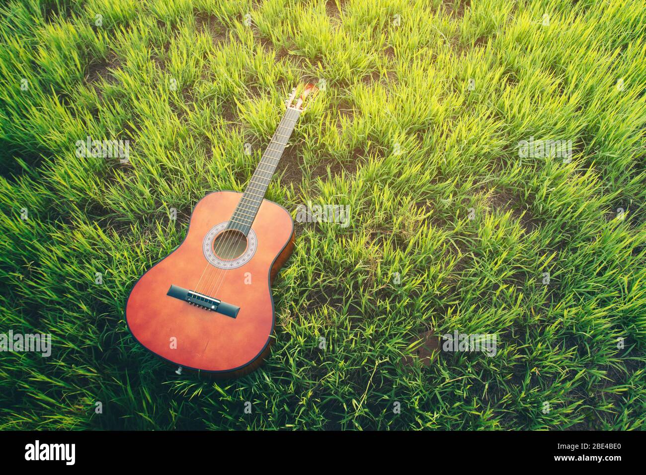 guitare classique posée sur l'herbe verte avec lumière du soleil Banque D'Images