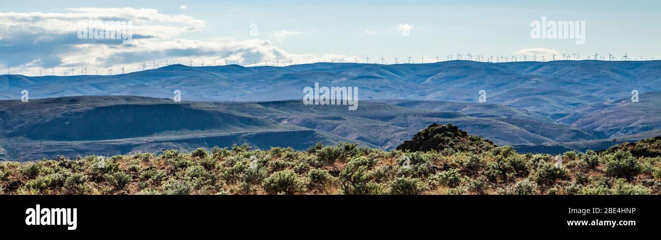 Éoliennes le long de la ligne d'horizon dans l'est de Washington, États-Unis. Banque D'Images