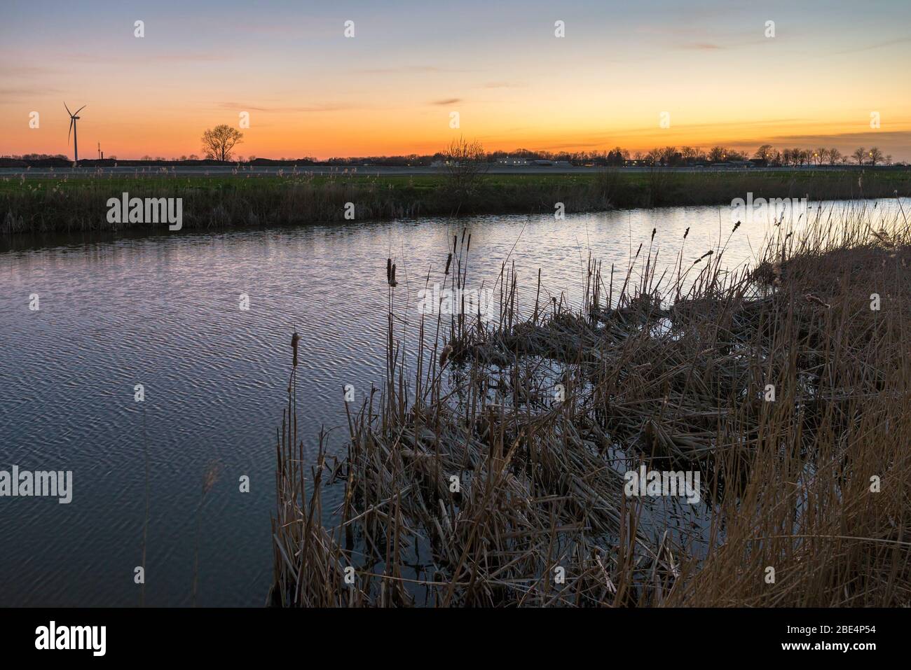 Paysage hollandais avec roseau le long de la rive d'une petite rivière. Couleurs crépuscule au-dessus de l'horizon. Banque D'Images