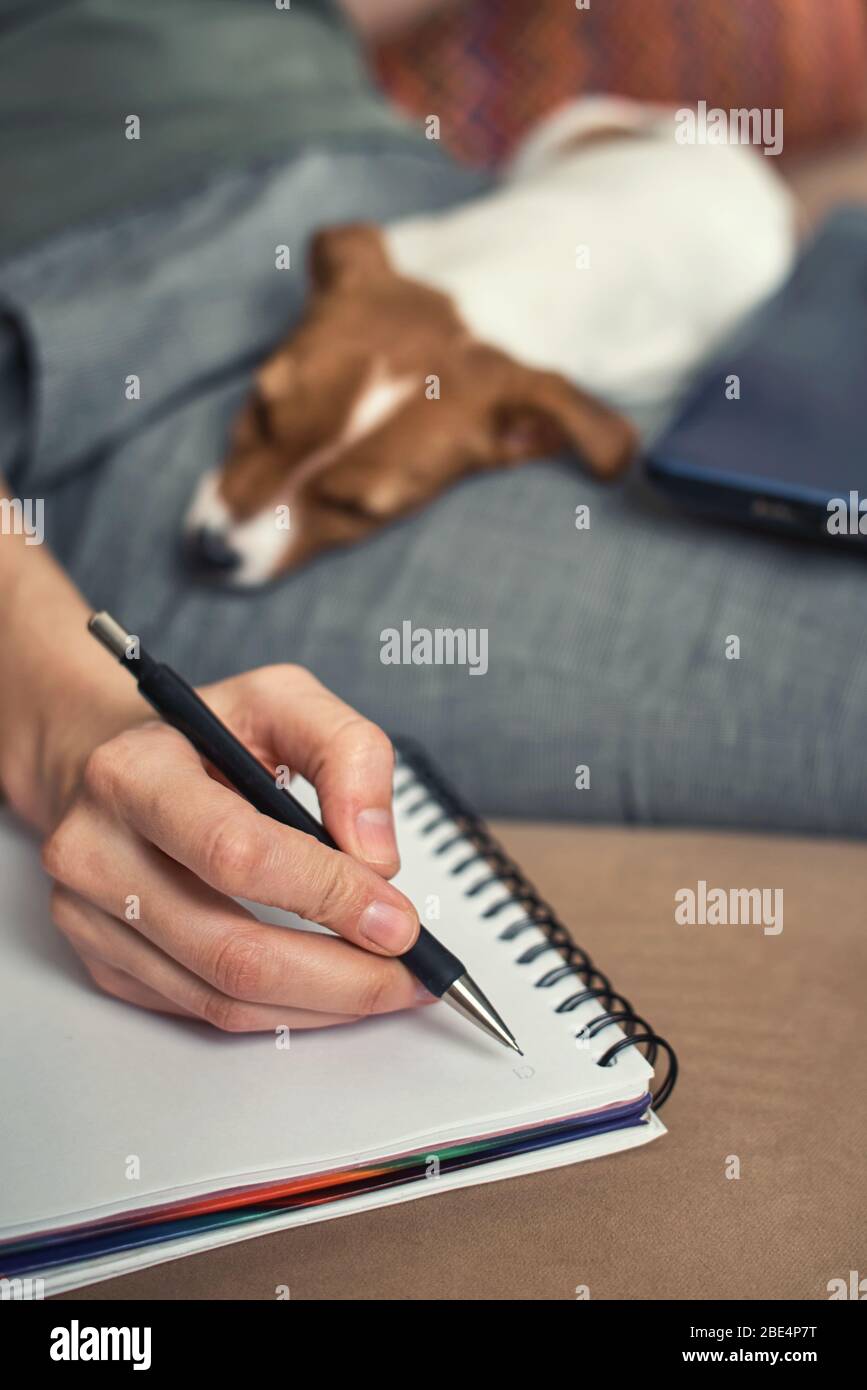 Femme écrire des plans dans le carnet avec son chien chiot de chien de terrier de Jack rusel. Bonnes relations et amitié entre le propriétaire et l'animal de compagnie Banque D'Images