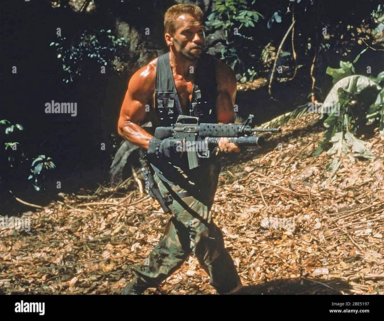 PREDATOR film Fox du XXe siècle 1987 avec Arnold Schwarzenegger comme « Dutch » majeur Banque D'Images