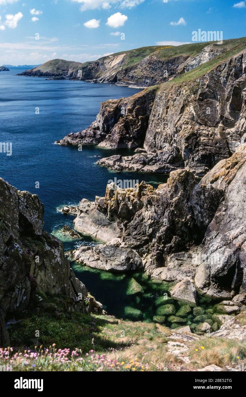 Vue sur la mer et les falaises de la mer à Dinas Fach, une journée d'été ensoleillée. Extrait du sentier côtier de Pembrokeshire près de Solva, Pays de Galles, Royaume-Uni. Banque D'Images