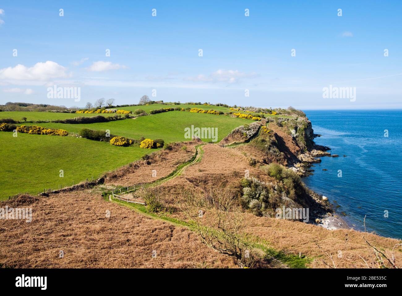 Vue sur le sentier côtier gallois à travers la campagne le long de la côte accidentée à l'ouest de Benllech, île d'Anglesey, Pays de Galles, Royaume-Uni, Grande-Bretagne Banque D'Images