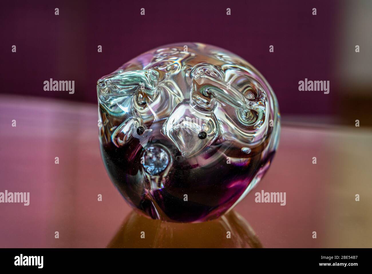 Porc chanceux vitreux - soufflé en Écosse avec verre violet Banque D'Images