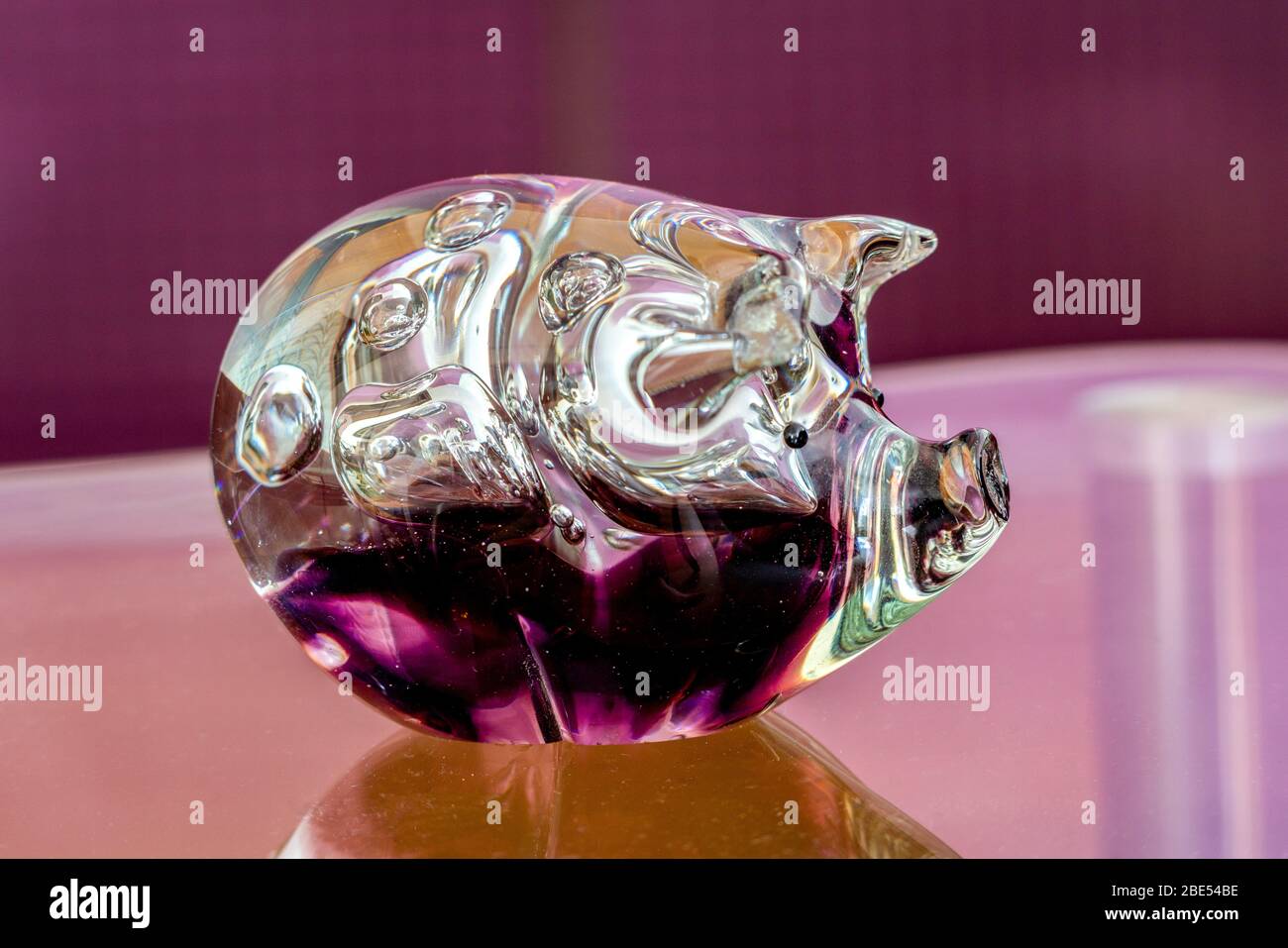 Porc chanceux vitreux - soufflé en Écosse avec verre violet Banque D'Images