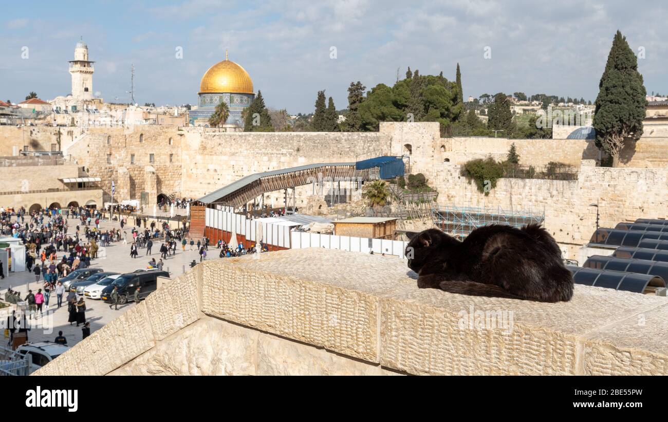 Le mur occidental et la mosquée Al-Aqsa à Jérusalem Banque D'Images