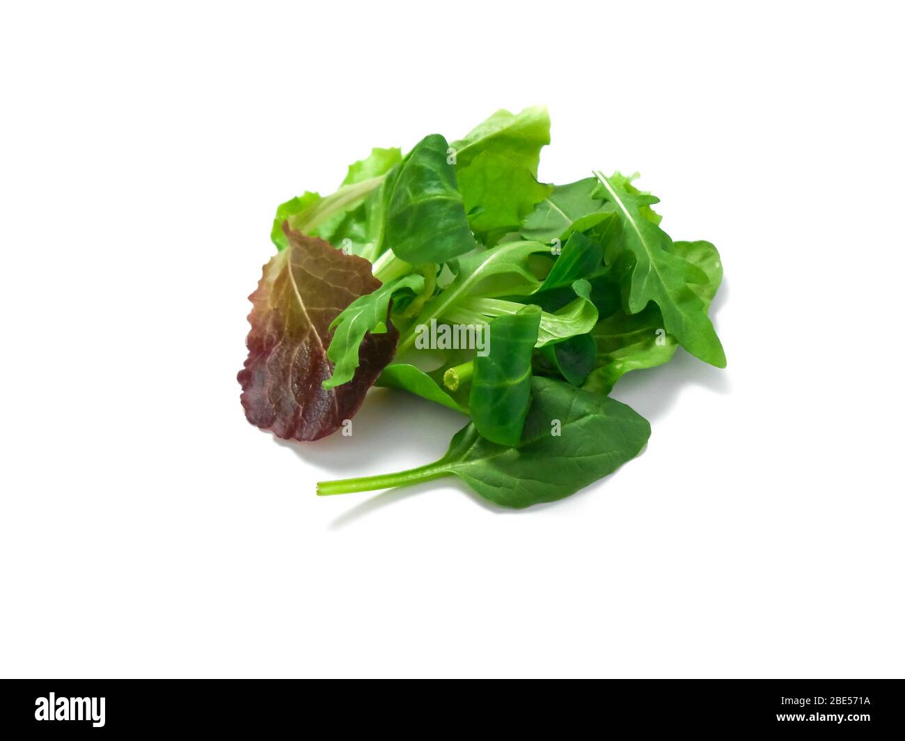 Salade verte fraîche mélangée aux épinards, à la rucola, à la romaine et à la laitue, sur fond blanc, vue du dessus Banque D'Images