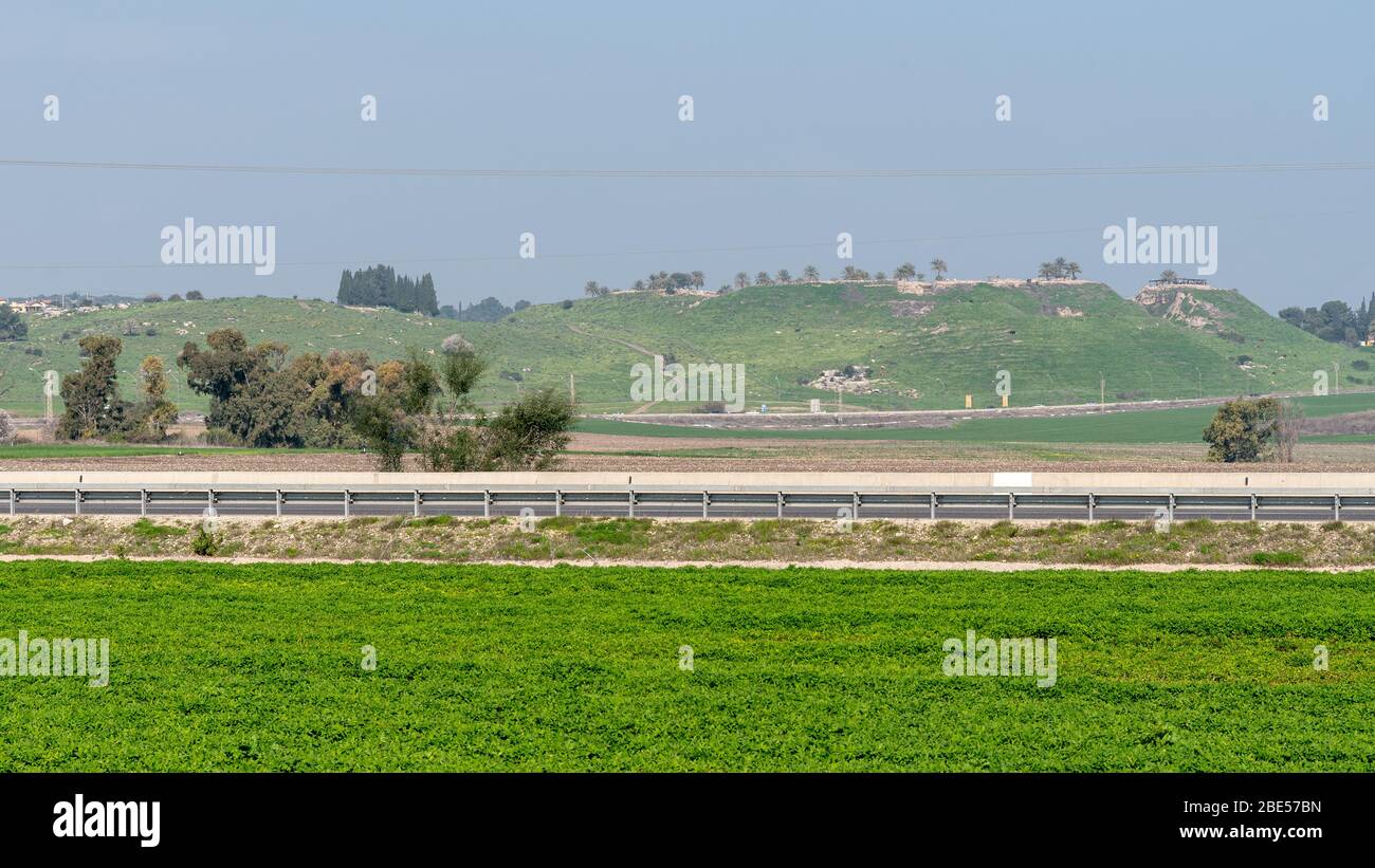 La vallée de Megiddo en Israël Banque D'Images