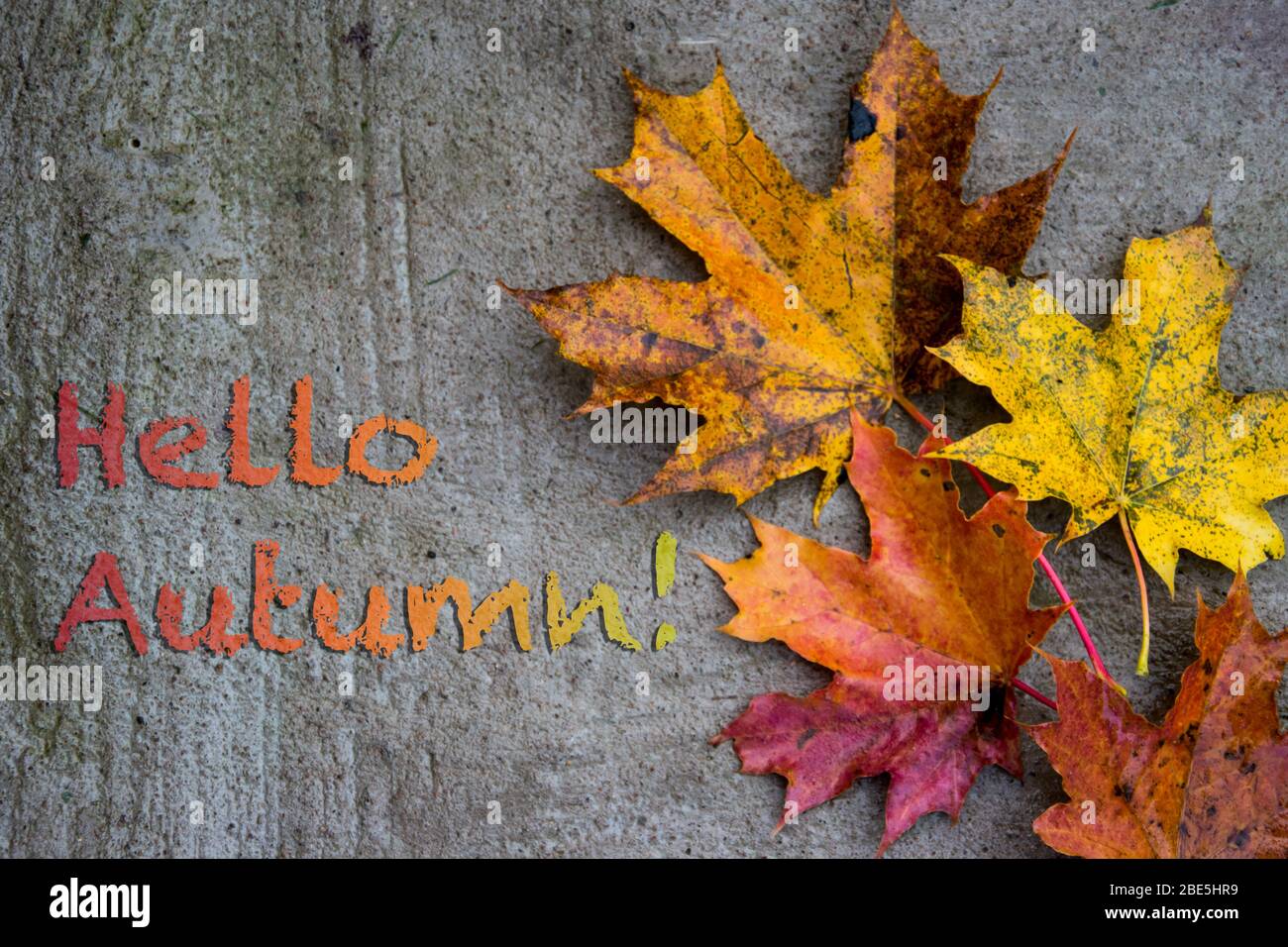 Carte postale avec feuilles d'érable multicolores avec inscription Bonjour automne Banque D'Images