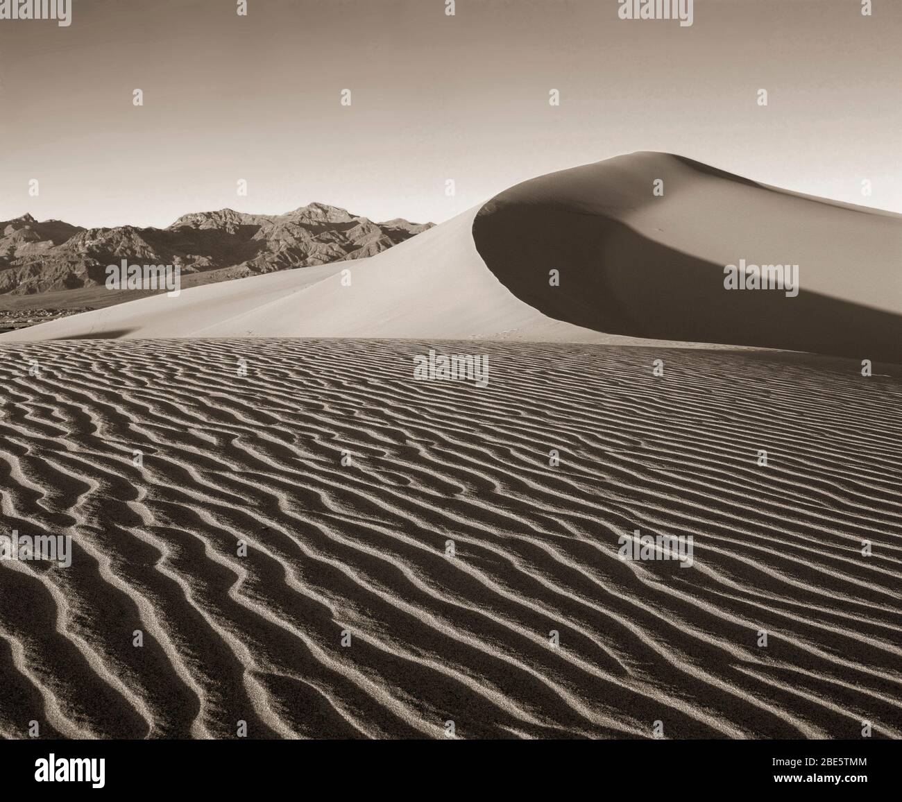 Dunes Mesquite #1 Banque D'Images