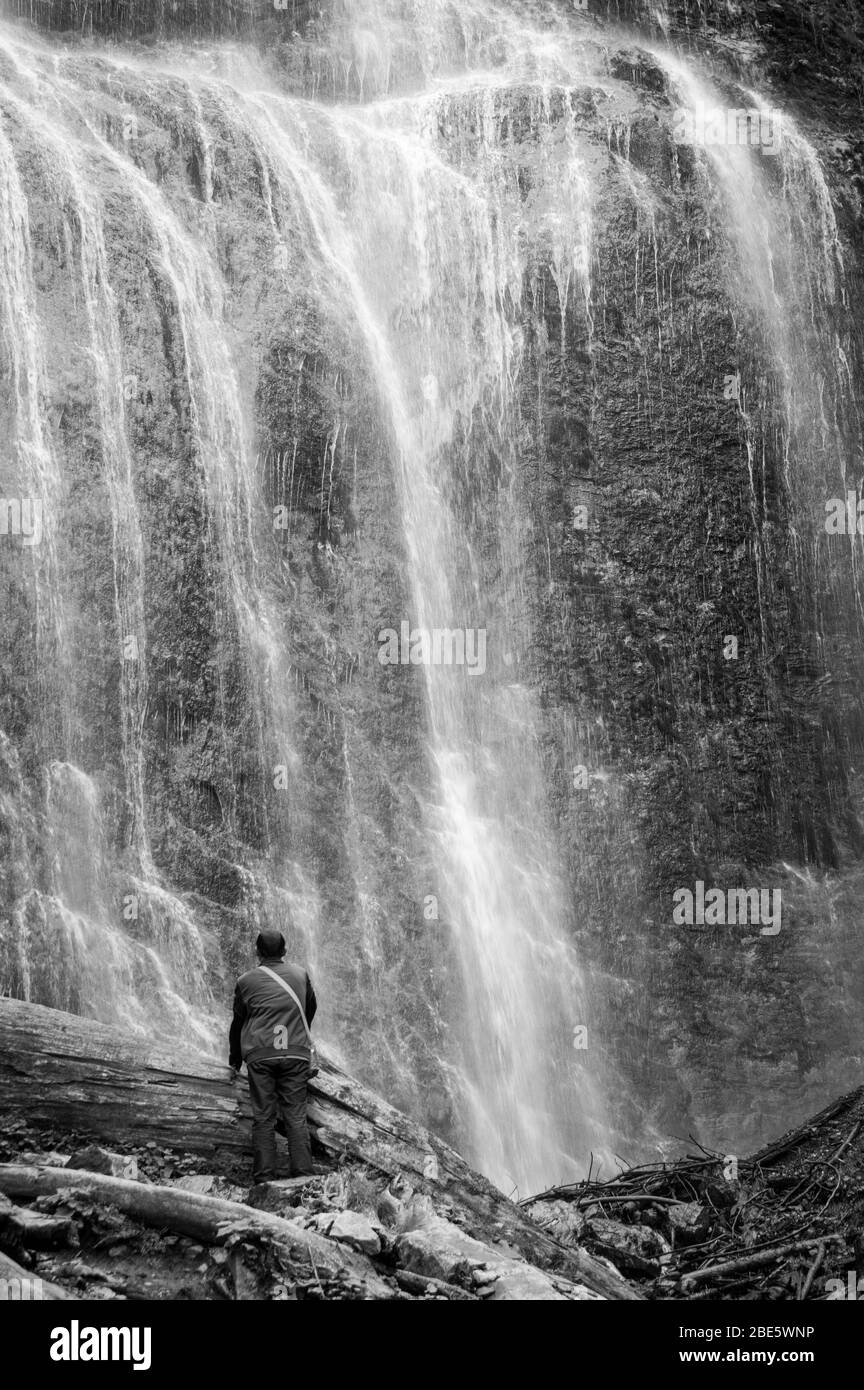 Homme unique regardant une chute d'eau en Colombie-Britannique, Canada Banque D'Images