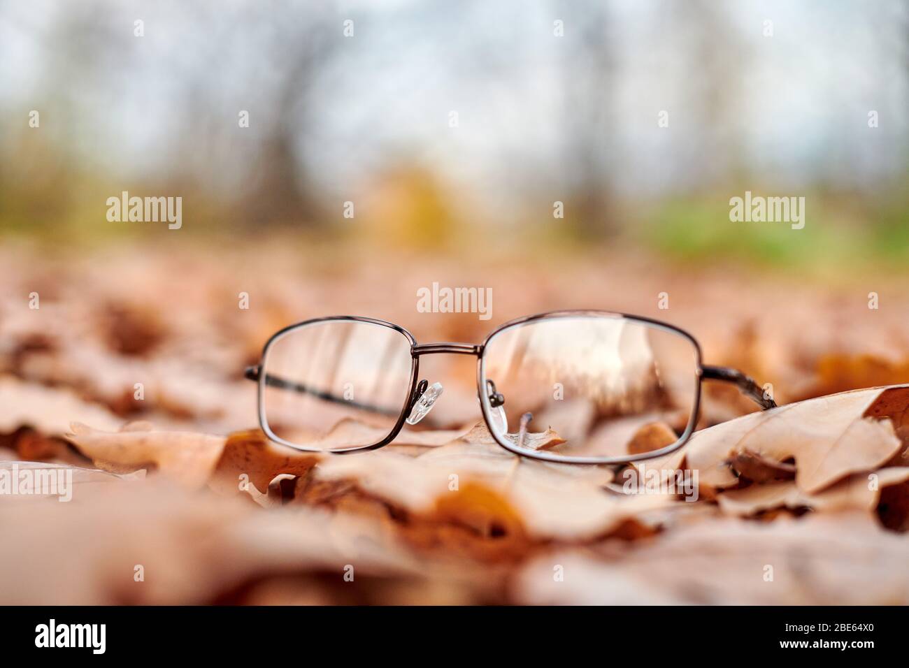 Lunettes sur le feuillage d'automne. Lunettes perdues comme symbole de perte soudaine de la vision. Carence en vitamine avec âge. Banque D'Images