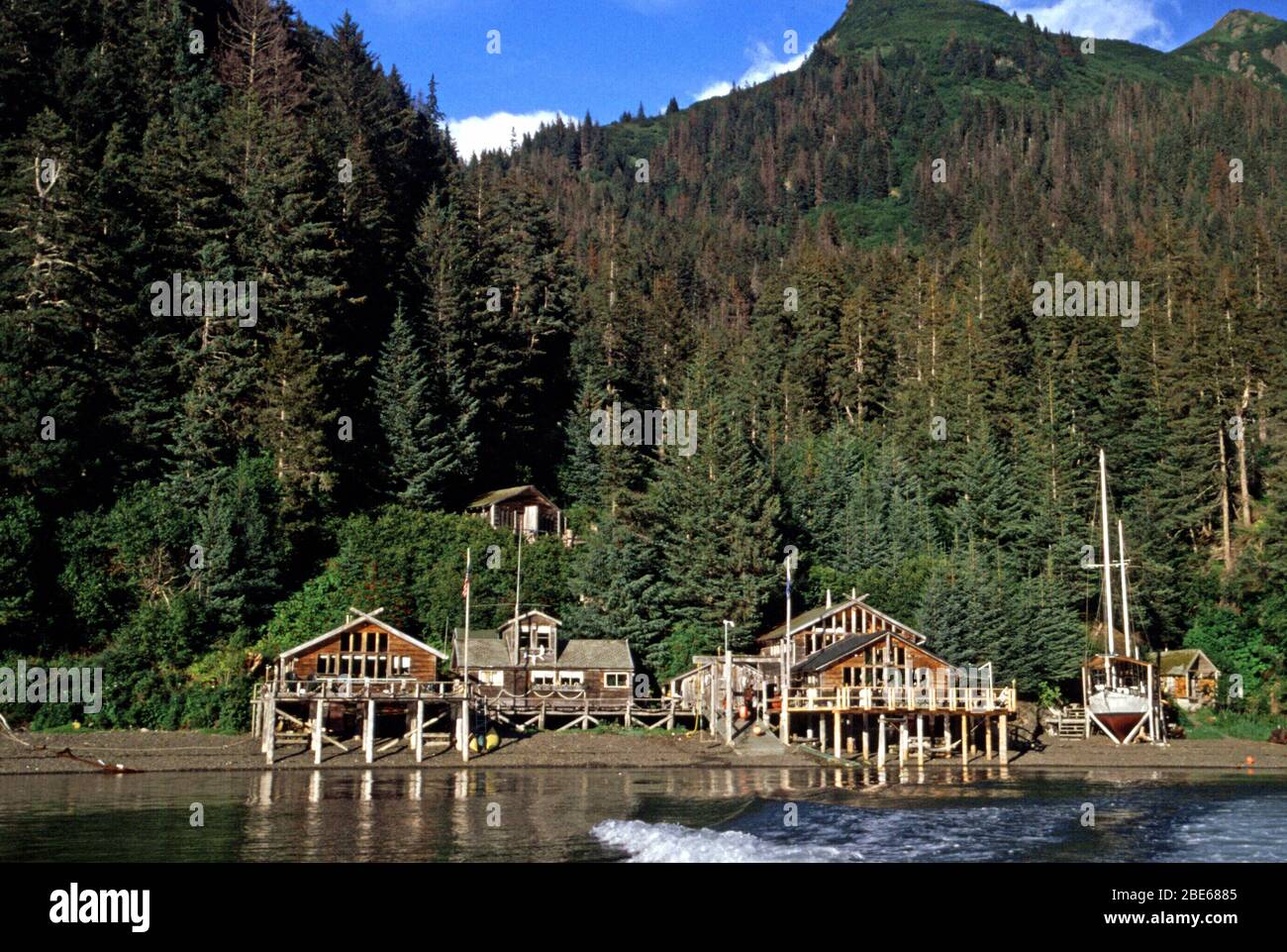 Pavillon en bois à Sadie Cove, Kachemak Bay State Park, Homer, Alaska, États-Unis Banque D'Images