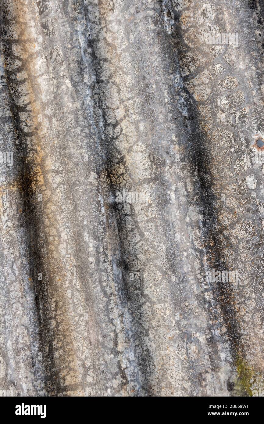 Tôle d'acier ondulé qui a vu de meilleurs jours. Banque D'Images