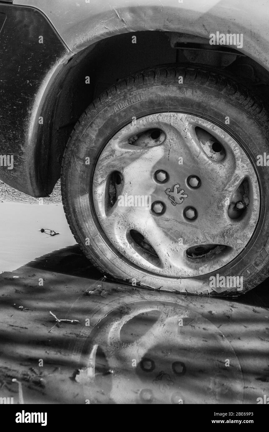 Noir et blanc éclatant de la roue / pneu et de la voûte d'une voiture Peugeot, avec le logo Peugeot marquelion visible sur le chapeau. IDH mais modèle précis inconnu. Banque D'Images