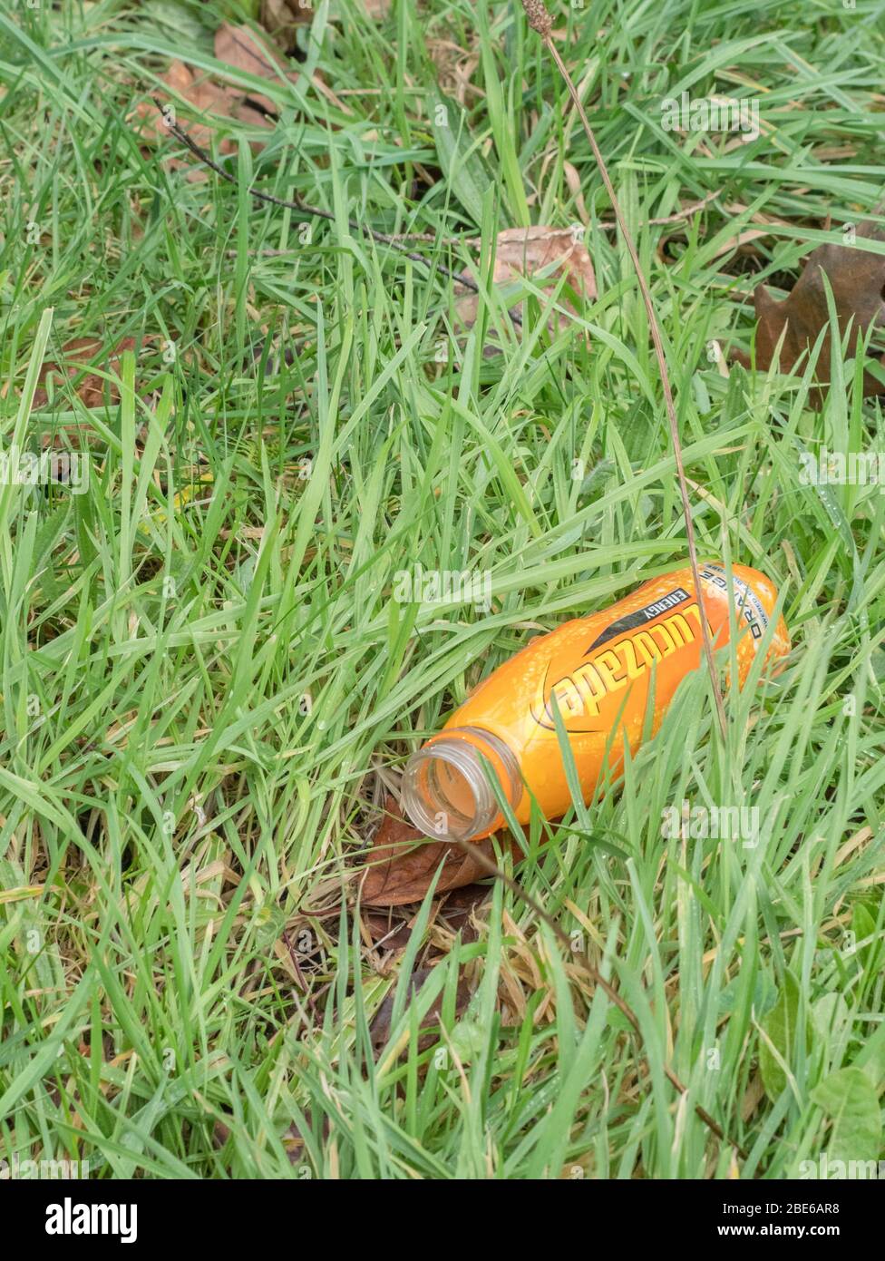 Videz la bouteille de Lucozade dans l'herbe longue de hedgeriw. Exemple de pollution plastique à la campagne, déchets plastiques à usage unique, litière plastique. Banque D'Images