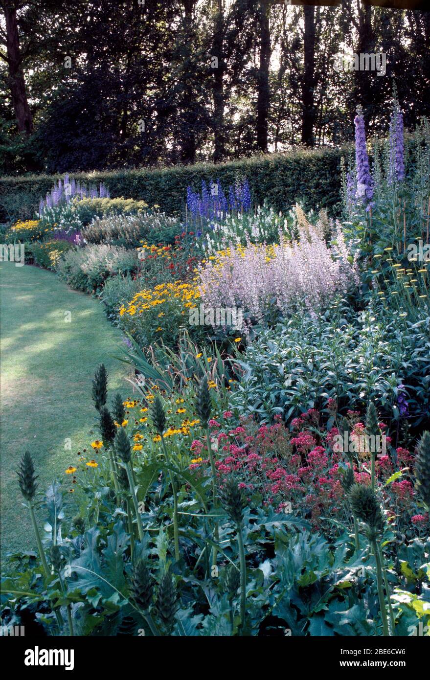 Lupins et salvia bleus à la frontière avec rudbeckia jaune et valérienne rouge dans le grand jardin de campagne Banque D'Images