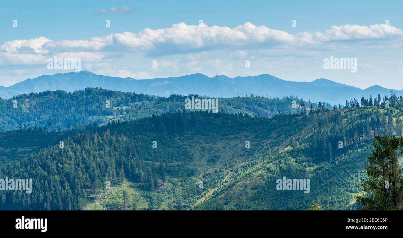 Paysage des collines inférieures des montagnes Kysuska vrchovina et des montagnes supérieures de Krivanska Mala Fatra de Maly Krivan à Suchy colline de la tour de vue au-dessus de Z Banque D'Images