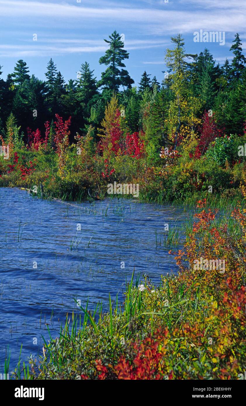 Lac Bearce, Moosehorn National Wildlife Refuge, Maine Banque D'Images