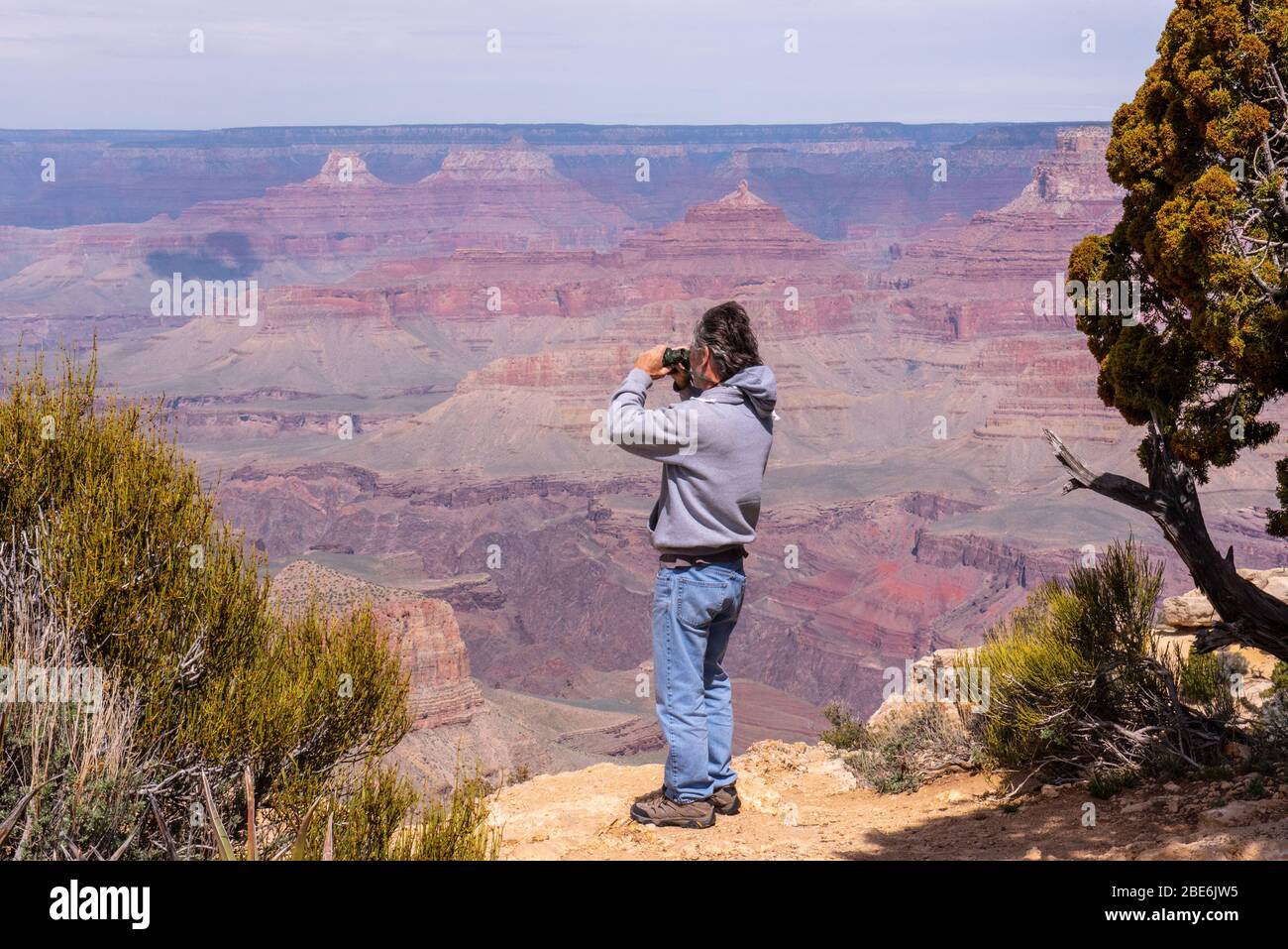 Se tenant sur le bord d'une falaise dans le plateau sud du Grand Canyon Banque D'Images