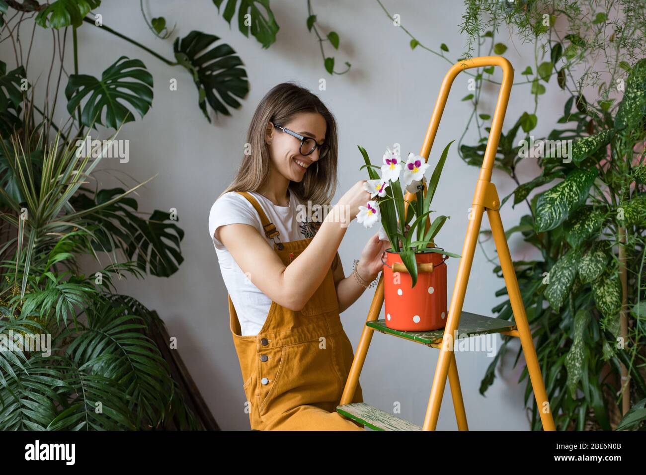 Jeune femme souriante jardinier dans des verres portant des combinaisons, en prenant soin de l'orchidée dans le vieux lait rouge peut se tenir debout sur l'échelle orange vintage. Jardinage à la maison Banque D'Images