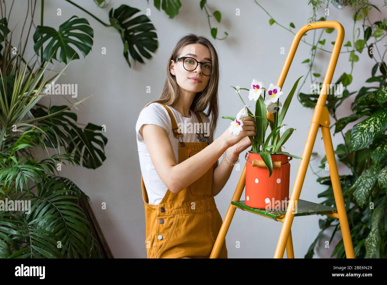 Jeune femme jardinier dans des verres portant des combinaisons, en prenant soin d'orchidée dans le vieux lait rouge peut se tenir sur l'échelle orange vintage, regardant l'appareil photo. CDM Banque D'Images