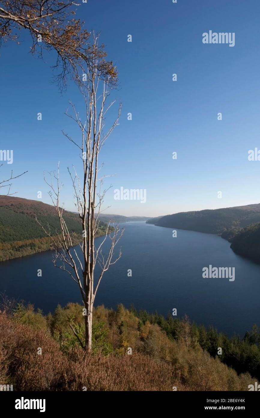 Lac Vyrnwy, Powys, Pays de Galles du milieu Banque D'Images