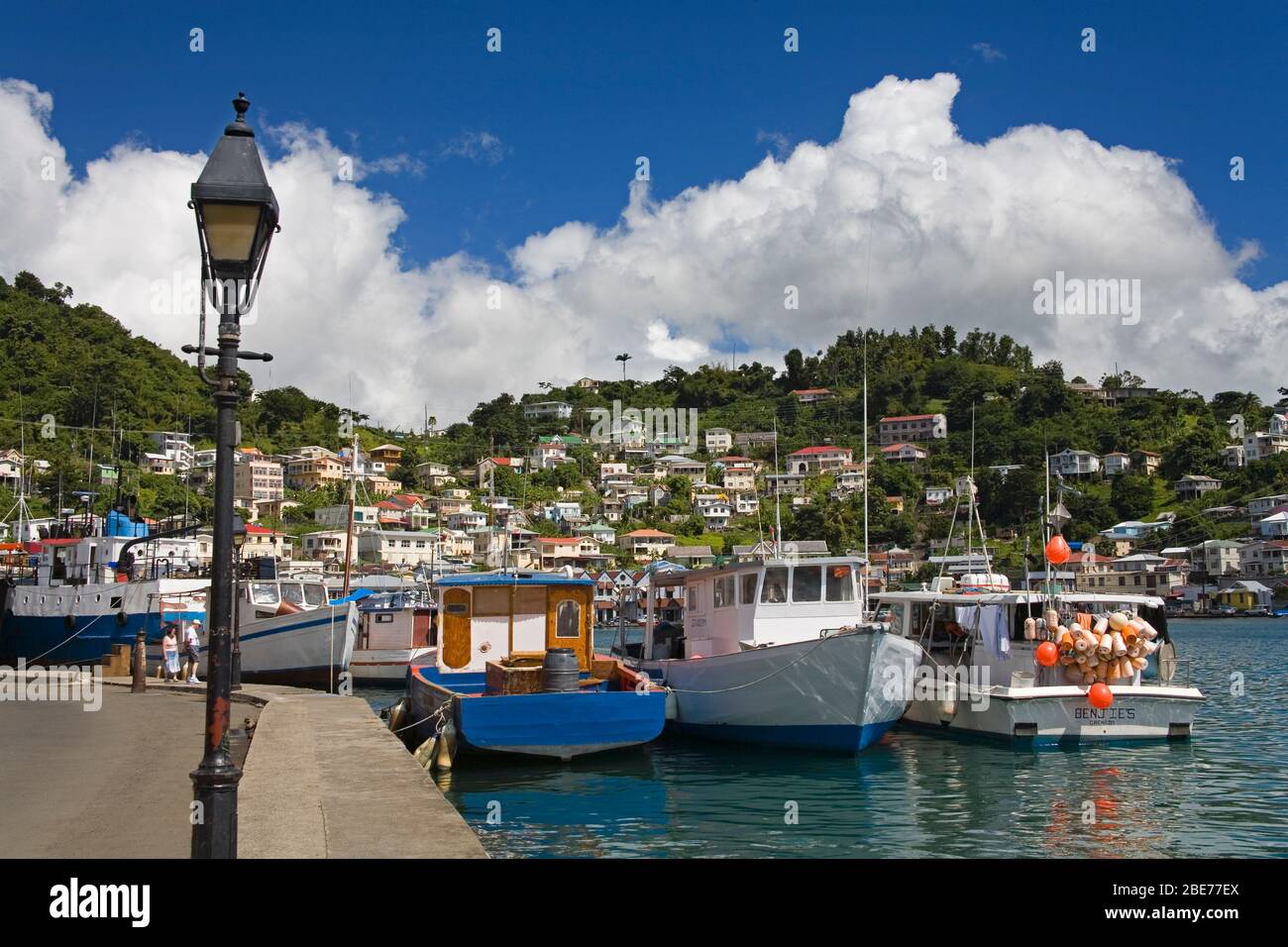 Bateaux de pêche en Carenage Harbour, Ville de Saint-Georges, Grenade, Petites Antilles, Caraïbes Banque D'Images