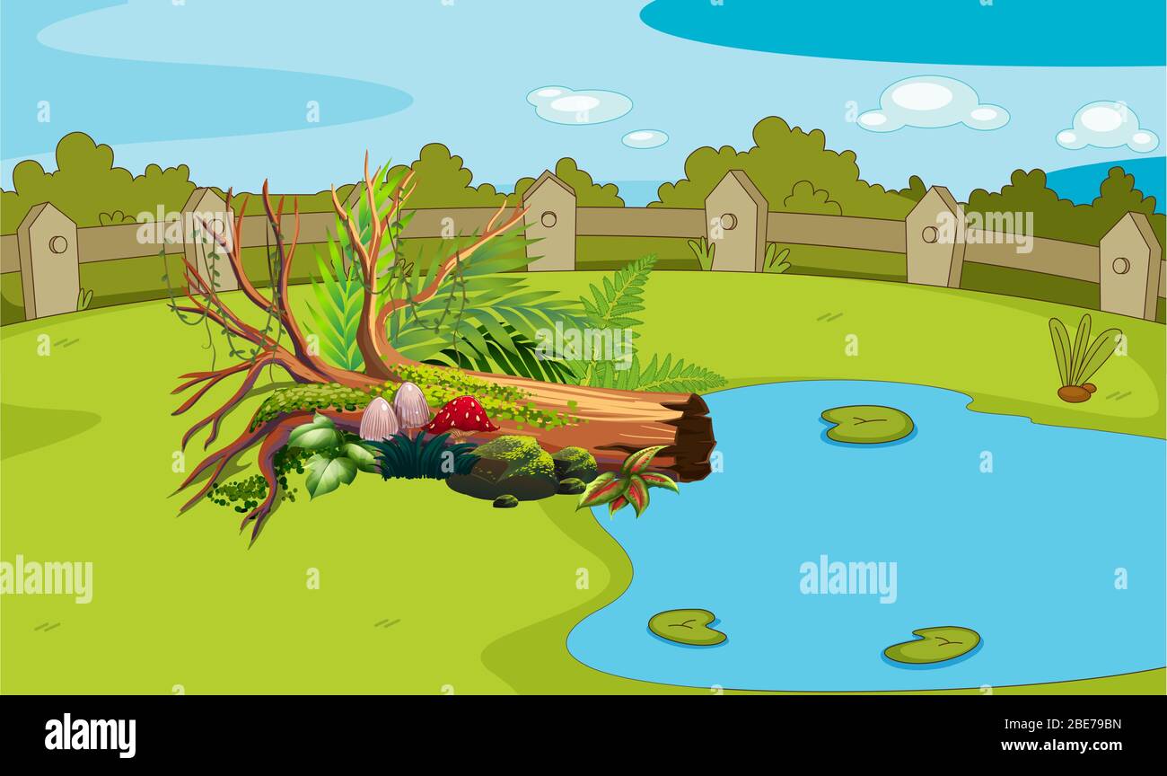 arbre tombé sur de petites plantes de champignons et feuilles au bord de la rivière dans le jardin Illustration de Vecteur