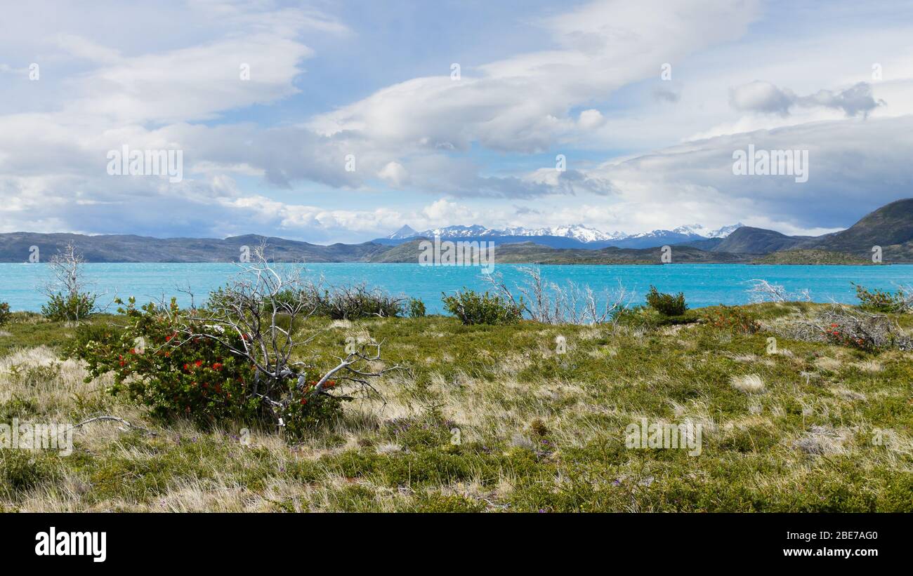 Sur le lac Pehoe, Parc National Torres del Paine, Chili. Paysage de Patagonie chilienne Banque D'Images