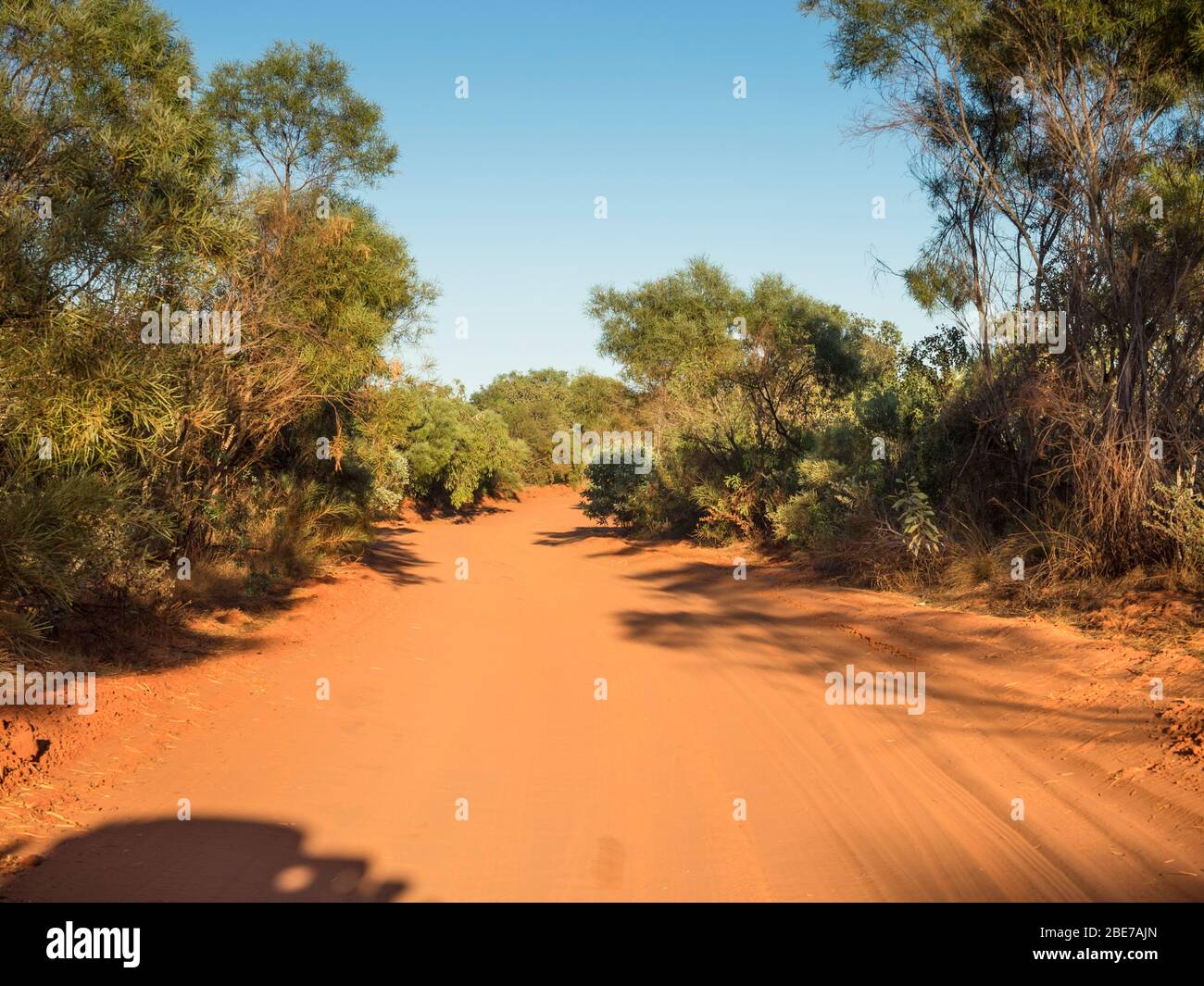 Sable rouge pindanne sur la route non scellée Crab Creek, Broome, les Kimberley, Australie occidentale Banque D'Images