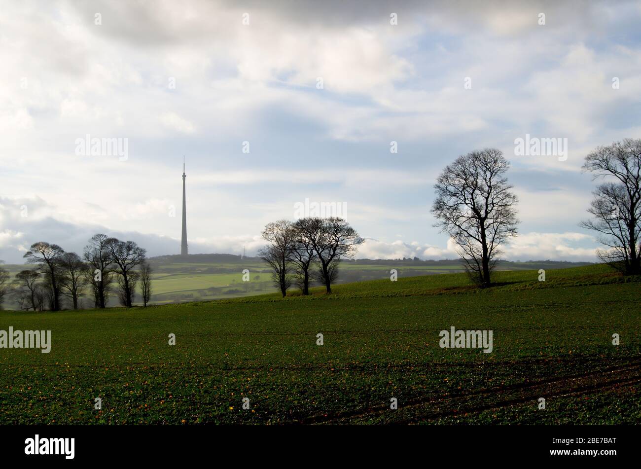 Champ bordé d'arbres avec station émetteur Emley Moor en arrière-plan Banque D'Images