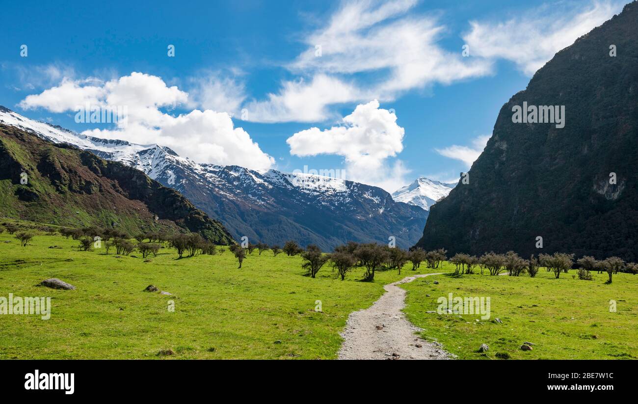 Sentier de randonnée jusqu'au glacier Rob Roy, montagnes enneigées à l'arrière, parc national du Mont Aspiring, Otago, île du Sud, Nouvelle-Zélande Banque D'Images