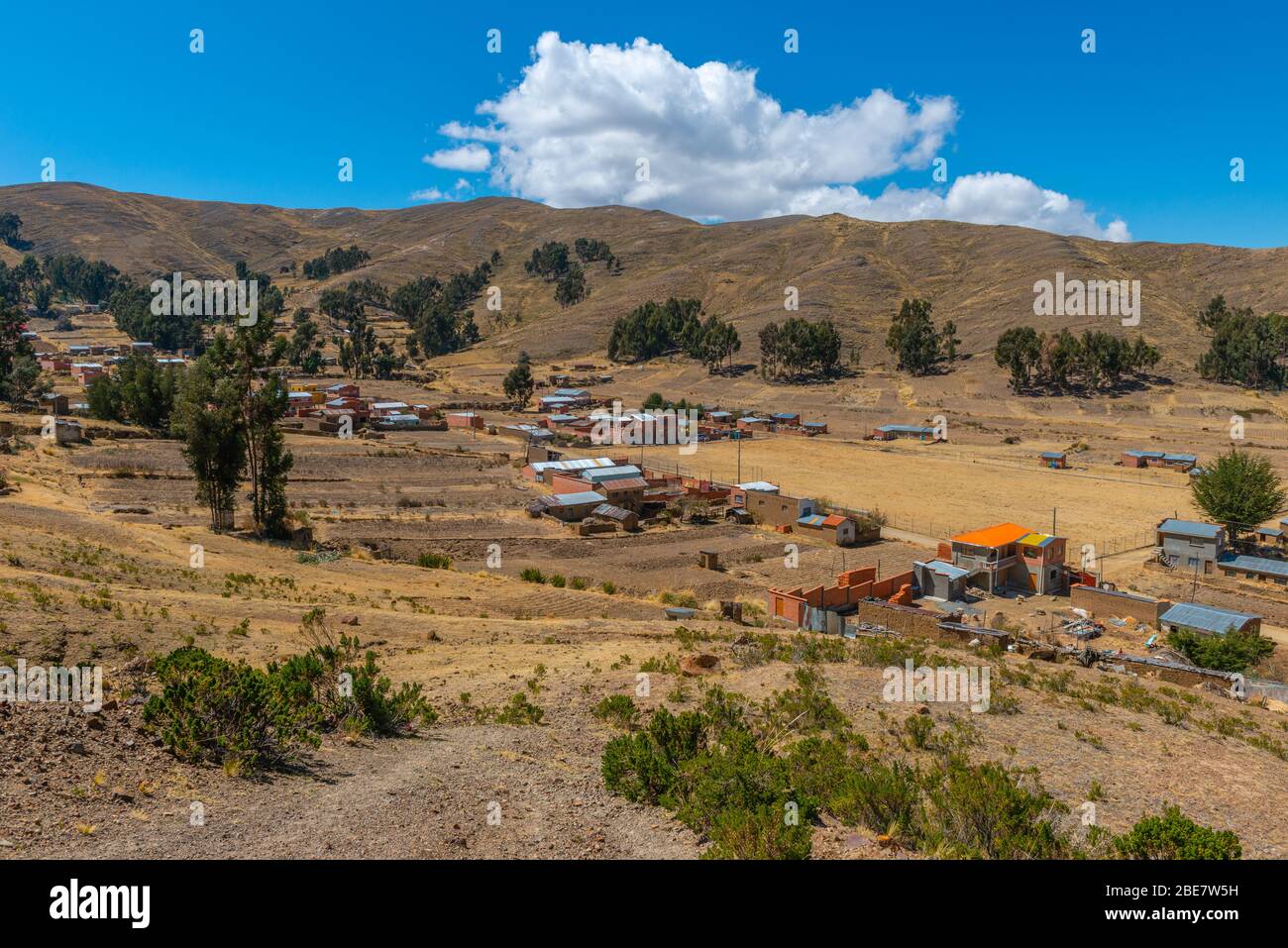 Agriculture dans la région de l'Altiplano, péninsule Huata, Département la Paz, Bolivie, Amérique latine Banque D'Images